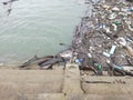 WATER POLLUTION, river Sava in Belgrade, Serbia