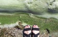 Dirty foam on the water near the shore. Green water, gray and dirty foam indicate the consequences of an environmental disaster.