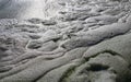 Dirty foam on the water near the shore. Green water, gray and dirty foam indicate the consequences of an environmental disaster.