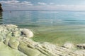 Dirty foam on the water near the shore. Green water, gray and dirty foam indicate the consequences of an environmental disaster.