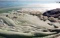 Dirty foam on the water near the shore. Green water, gray and dirty foam indicate the consequences of an environmental disaster.