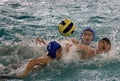 Water Polo Action Royalty Free Stock Photo