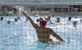 Water Polo Royalty Free Stock Photo