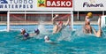 Water Polo - shot Royalty Free Stock Photo