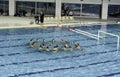 Water polo team in the swim pool