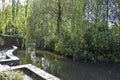 Water pond in Adare Park of Adare, County Limerick, Ireland Royalty Free Stock Photo