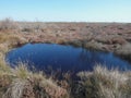 water pond desert Royalty Free Stock Photo