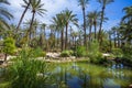 Water pond and palm trees in the Huerto del Cura in Elche, Alicante Royalty Free Stock Photo