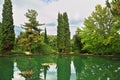 The water of a pond reflects cypresses