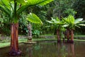 Water pool with Devi Saraswati sculpture, hindu goddess of knowledge