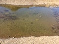 a water pool. Water erosion of rock on the Akzhar River Akmola region Kazakhstan Royalty Free Stock Photo