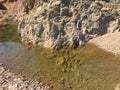 a water pool. Water erosion of rock on the Akzhar River Akmola region Kazakhstan Royalty Free Stock Photo