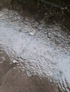 The water pooled in the yard due to heavy rain.