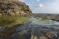 Water pools amd Moss covered rocks at Harinareshwar Rocky beach,Maharashtra,India Royalty Free Stock Photo