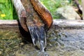 Water pouring into a drinking trough