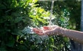 Water pouring in human hand on nature, environment issue Royalty Free Stock Photo