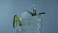 Water pouring iced cocktail in glass closeup. Summer refreshing classic beverage