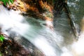 Water pouring over a rock in a forest Royalty Free Stock Photo