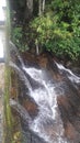  Water pours down and makes its way on the rock.