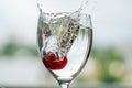 Water pours into a glass Royalty Free Stock Photo