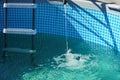 Water pours from a hose into a small round pool Royalty Free Stock Photo