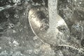 Water pours on the spoon in a strong stream and you can see the iridescent drops in the light. Closeup