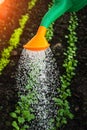 Water pours from a watering can close up