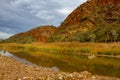 The last waterhole at Glenn Helen Gorge Royalty Free Stock Photo