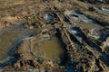 Water in a puddle covered of ice. Royalty Free Stock Photo