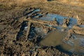 Water in a puddle covered of ice. Royalty Free Stock Photo