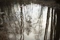 Water in puddle. Water in forest. Small pond