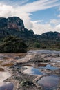 Water puddles at Mount `Auyantepuy`