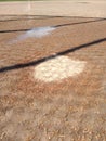 Baseball, Home Plate, Wet Field, Baseball Diamond