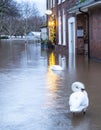 Water pumps in flooded property, from burst banks of the River Severn cause chaos for Worcester businesses