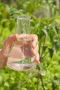 Water Purity Test, liquid in laboratory glassware Royalty Free Stock Photo