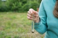 Water Purity Test, liquid in laboratory glassware Royalty Free Stock Photo