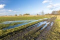 Water after rain on a dirt road and green field, white clouds on the blue sky Royalty Free Stock Photo