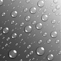 Water rain drop on gray scale background Royalty Free Stock Photo