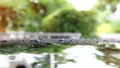 Water rain droplet on black car with glass coating Royalty Free Stock Photo