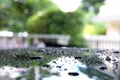 Water rain droplet on black car with glass coating Royalty Free Stock Photo