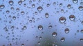 Water or rain droplets on glass window. Royalty Free Stock Photo