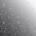 Water or rain drops background. Realistic pure drops. Clear water bubbles on window glass. Drop condensation concept Royalty Free Stock Photo