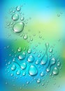 Water rain drops or condensation over blurred green nature background beyond the window, realistic transparent 3d vector Royalty Free Stock Photo
