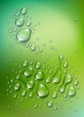 Water rain drops or condensation over blurred green nature background beyond the window, realistic transparent 3d vector Royalty Free Stock Photo