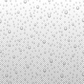 Water rain drops or steam shower isolated on transparent background. Realistic pure droplets condensed, vector illustration Royalty Free Stock Photo