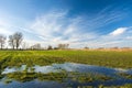 Water after rain on a green field and clouds on a blue sky Royalty Free Stock Photo