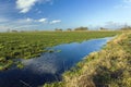 Water after rain on a green field, white clouds on a blue sky Royalty Free Stock Photo