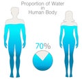 Water rate in the human body is seventy percent. Proportion h2o. Female and male silhouettes, filled with 70% water. Pie chart.