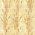 Water Reed Plant - Swamp Cane Grass - Pattern Of The Decorative Background - Interior Wallpaper - Papyrus Texture