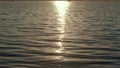 Water reflecting golden sunlight evening sunset time. Calm lake ripples waving. Royalty Free Stock Photo